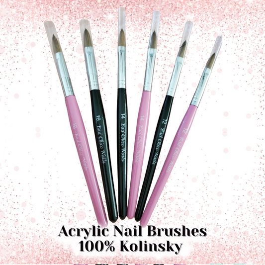 Size 12 Acrylic Brushes- 100% Kolinsky